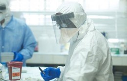 Phát hiện chủng virus Ebola mới tại Sierra Leone