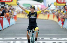 Primoz Roglic về nhất chặng 19 Tour de France 2018