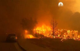 Hơn 2.000 lính cứu hỏa đối phó với cháy rừng lan rộng tại California, Mỹ