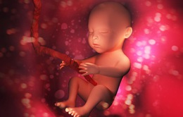 Nhiều trường hợp thai nhi tử vong do mẹ uống thuốc hỗ trợ thai kỳ