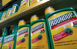 Anh cân nhắc ngừng bán thuốc diệt cỏ Roundup của Monsanto