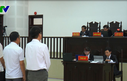 Đà Nẵng tuyên án xét xử vụ buôn lậu gỗ trắc ở Quảng Trị