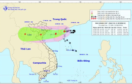 Ngày 16/8, bão số 4 sẽ ảnh hưởng từ Hải Phòng đến Nghệ An