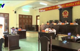 H​oãn xét xử vụ lấy tiền "âm phủ" bỏ vào quỹ, tham ô tài sản tại Trường Chính trị tỉnh Phú Yên