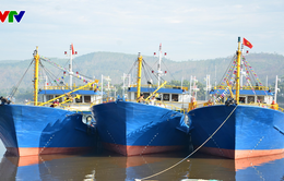 Quảng Ngãi đưa vào sử dụng 64 tàu cá theo Nghị định 67