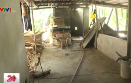 Nghệ An: Hàng chục gia đình mất ăn mất ngủ vì lo nhà bị sạt lở