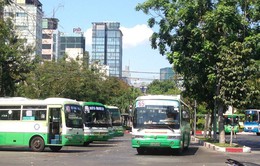 TP.HCM sẽ tăng hơn 900 chuyến xe bus trên 13 tuyến