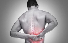 Các bài tập cho bệnh nhân đau lưng