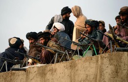 Afghanistan tuyên bố ngừng bắn với Taliban nhân lễ Eid al-Adha