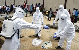 Đại dịch Ebola tiếp tục hoành hành ở Congo, 44 người thiệt mạng