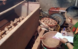 Bắt quả tang vụ làm giả khoai tây ngay trong chợ nông sản Đà Lạt