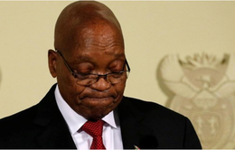 Nam Phi điều tra cựu Tổng thống Zuma về cáo buộc tham nhũng