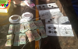 Đắk Lắk: Phát hiện 1 ổ đánh bạc lớn trong rẫy vắng