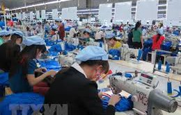 Hàng dệt may Việt sắp vượt Trung Quốc, chiếm lĩnh thị trường Hàn Quốc