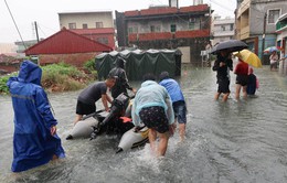 Lũ lụt nghiêm trọng ở Đài Loan (Trung Quốc), 7 người thiệt mạng