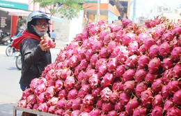 Nâng cao hiệu quả tiếp cận thị trường Trung Quốc cho nông sản Việt