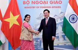 Kỳ họp lần thứ 16 Ủy ban hỗn hợp Việt Nam - Ấn Độ