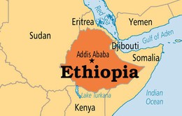 Máy bay rơi tại Ethiopia, 18 người thiệt mạng
