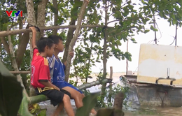 Trẻ em vùng lũ Đồng Tháp đối mặt nguy cơ đuối nước