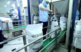 Ai Cập sẽ nhập khẩu một triệu tấn gạo trắng của Việt Nam