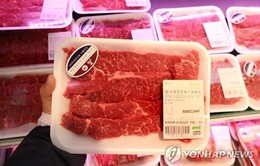 Sợ bệnh bò điên ở Mỹ, Hàn Quốc tăng cường kiểm tra thịt nhập khẩu