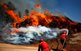 Bồ Đào Nha tiếp tục sơ tán dân do cháy rừng lan rộng
