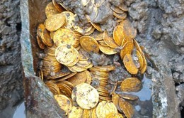 Phát hiện hũ chứa hàng trăm đồng xu vàng còn nguyên vẹn trị giá hàng triệu USD