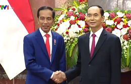Tổng thống Indonesia và Phu nhân bắt đầu thăm cấp Nhà nước Việt Nam