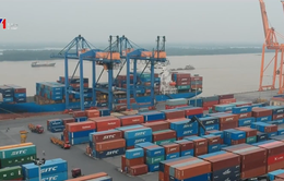 Hải quan Hải Phòng tìm chủ nhân 660 container hàng phế liệu
