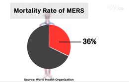 Sự nguy hiểm của virus Mers-CoV