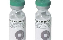 TP.HCM: Hết vaccine 5 trong 1 Quinvaxem