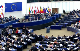 Nghị viện châu Âu thông qua gói cải cách bản quyền gây tranh cãi