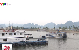 Trao nhãn sinh thái “Cánh buồm xanh” cho tàu du lịch trên vịnh Hạ Long
