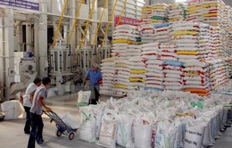 Xuất khẩu gạo tăng gần 30% về giá trị