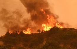 Khắc phục hậu quả cháy rừng ở Mỹ gặp khó khăn