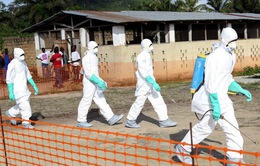 Dịch Ebola vẫn đang tiềm ẩn nguy cơ bùng phát ở CHDC Congo