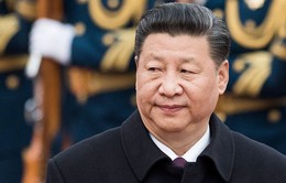 Chủ tịch Trung Quốc Tập Cận Bình chia buồn về sự ra đi của Chủ tịch Trần Đại Quang