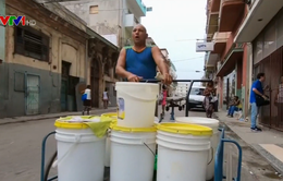 Tiếng hát theo chân người bán hàng rong ở Cuba