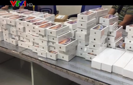 Bắt giữ lô iPhone XS nhập lậu tại sân bay Tân Sơn Nhất