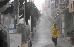 Bão Trami tràn vào Nhật Bản, 5 người bị thương