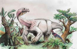 Phát hiện loài khủng long khổng lồ mới gấp đôi kích thước một con voi