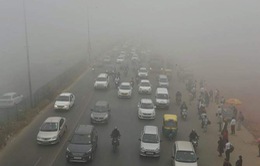 4,2 triệu người trẻ tử vong mỗi năm do ô nhiễm không khí