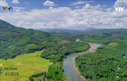 Những dòng sông chảy ngược ở Quảng Nam