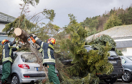 Giao thông ở nhiều nước tê liệt do bão Friederike
