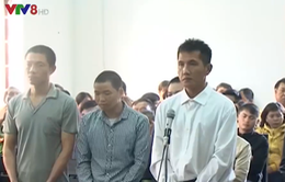Xét xử sơ thẩm vụ án nổ súng do tranh chấp đất rừng tại Đắk Nông