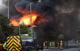 Cháy lớn thiêu rụi hàng trăm ô tô tại Liverpool, Anh