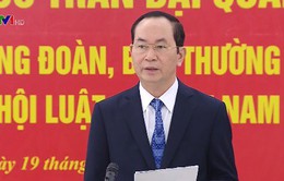 Chủ tịch nước làm việc với Hội Luật gia Việt Nam
