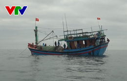Phú Yên khẩn trương tìm kiếm ngư dân mất tích