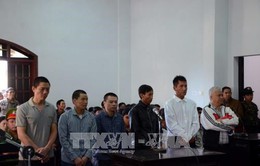 Tuyên án 6 bị cáo trong vụ nổ súng do tranh chấp đất rừng tại Đắk Nông