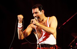 Lý giải giọng ca đầy nội lực của huyền thoại nhạc rock Freddie Mercury